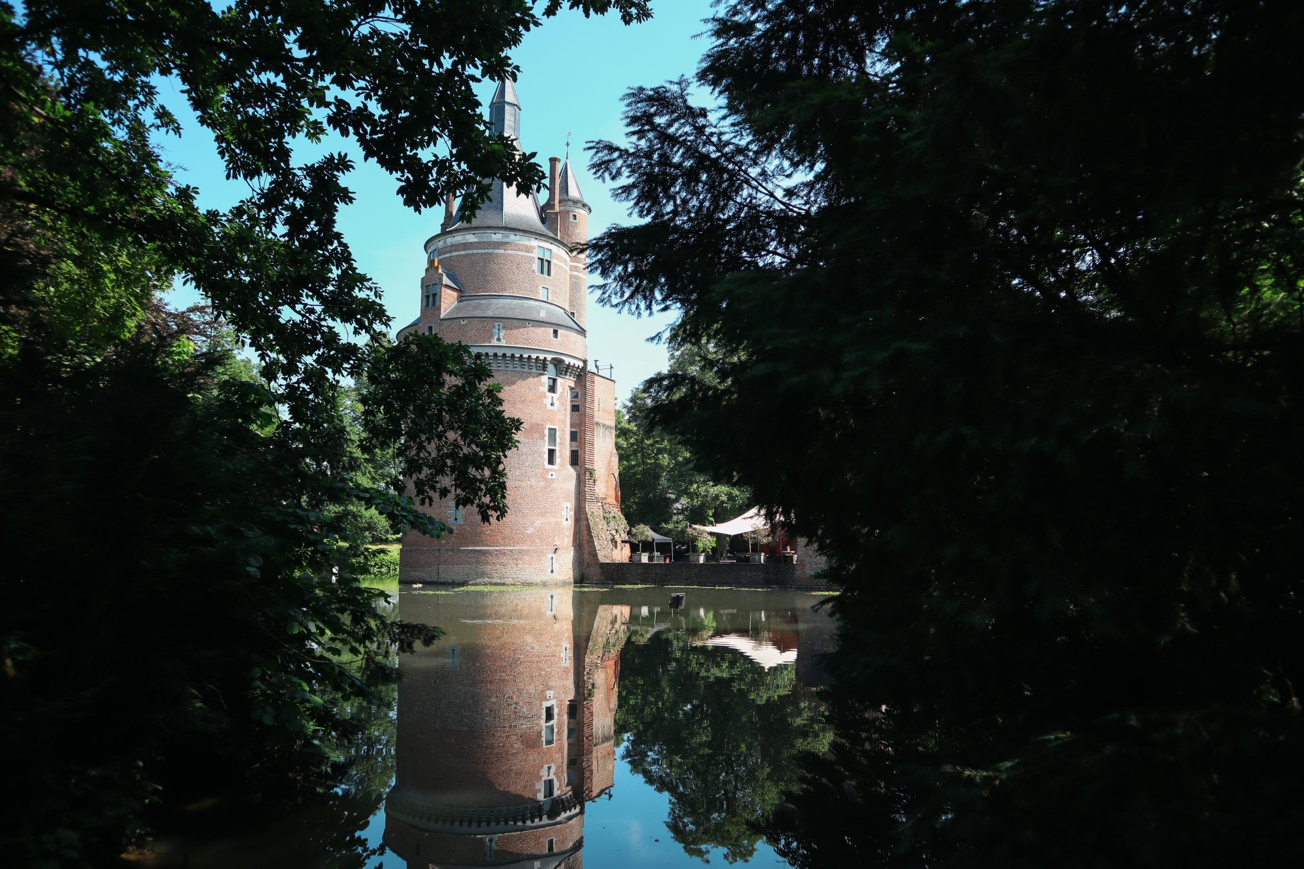 Dit is onze nieuwe website